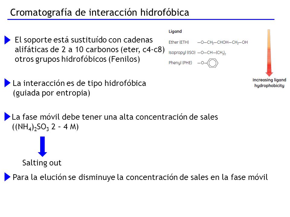 cromatografia de interaccion hidrofobica